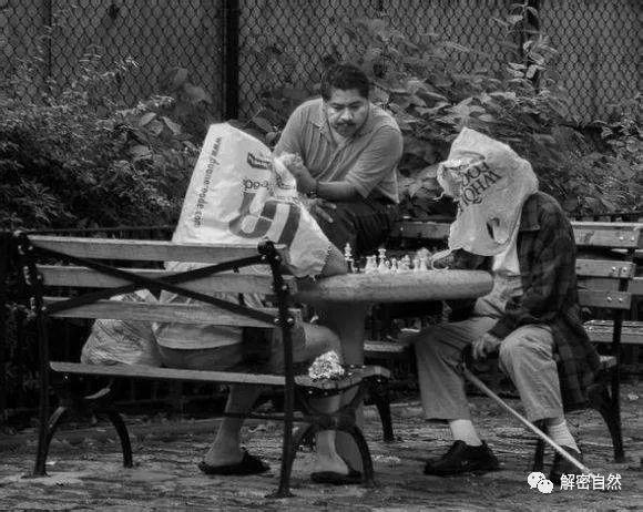 国际象棋 | 动人下棋情景
