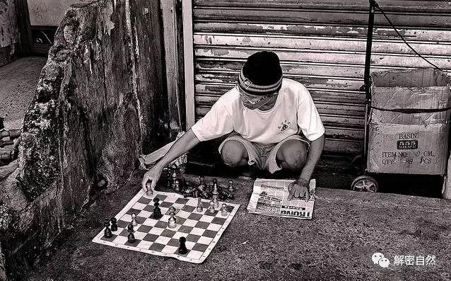 国际象棋 | 动人下棋情景