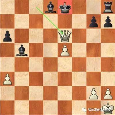精彩对局：阿廖欣在情人节前的弃后