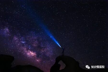 8 个奇怪而有趣的国际象棋事实