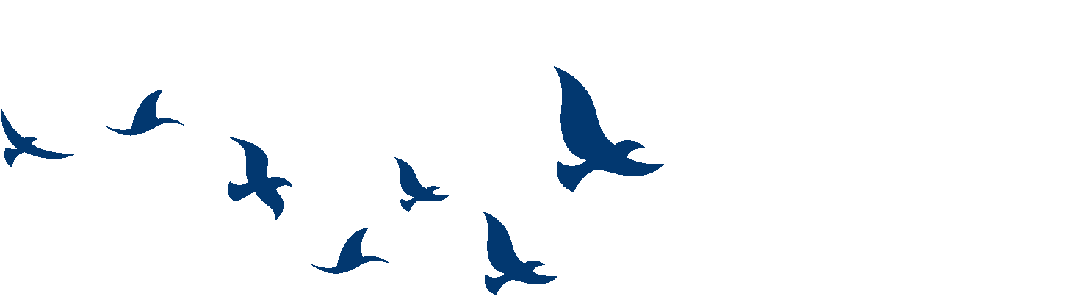 wxsync-2026-03-c5d0cc7cc14e9b5827f0c925790ffd68-4.gif 2026年第31届李成智杯全国少年儿童冠军赛(U12/U10/U8)落幕 各组前十名一览